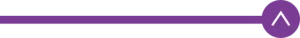 purple divider