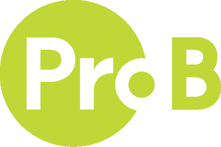 pro b logo